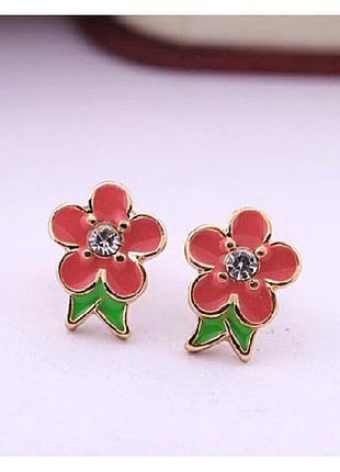 Сережки малої квітки (b487)