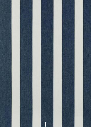 Ткань дралон вулична тканина для гойдалки маркиз зонтів у вуличних штор смужці біла синя