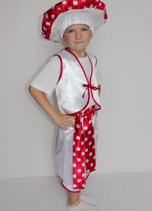 Карнавальный костюм мухомор или мухоморчик №3 (мальчик)2 фото