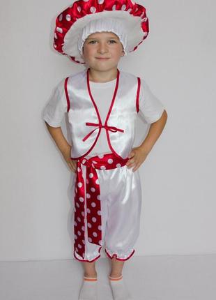 Карнавальний костюм мухомор або мухоморчик no3 (мальчик)