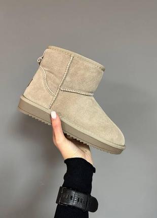 Женские угги мини натуральная замша мех ugg mini sand suede