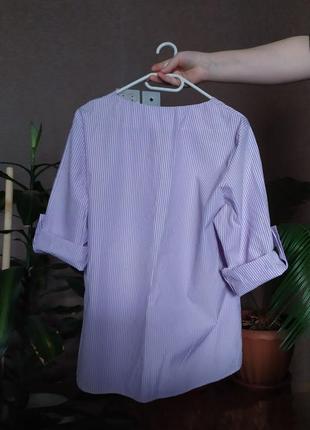 Блуза сорочка в смужку блузка бузкова4 фото