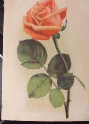 Листівка 1957 актуально