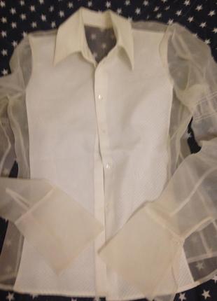 Шикарна блуза ( оригінал)