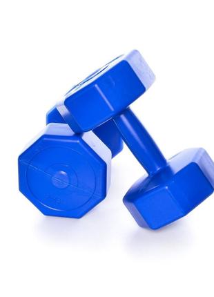 Гантелі для фітнесу 2 шт. по 3 кг. , композит з пластиковим покриттям (синій)2 фото