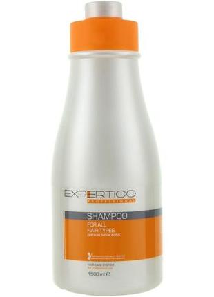 Шампунь для всіх типів волосся tico professional expertico shampoo
