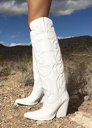 Сапоги жіночі jeffrey campbell