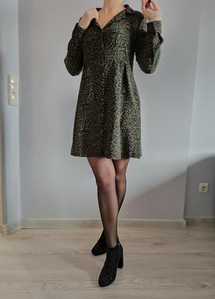 Плаття м chicoree