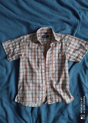 Теніска для хлопчика. сорочка
