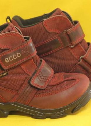 Сапоги ecco gore-tex размер 28