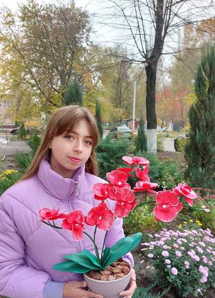 Орхідея ручної роботи