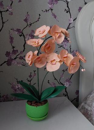 Орхідея1 фото