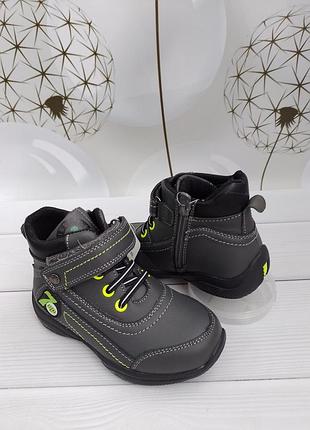 Детские демисезонные ботинки для мальчика paliament 26,27,28,29,30p