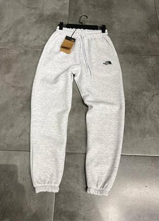 Спортивные штаны the north face на флисе утепленные серые tnf  мужские
