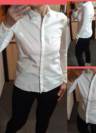 Базовая белая хлопковая рубашка, rossana diva/италия,  р. 382 фото
