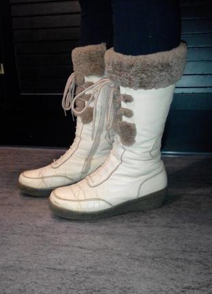 Распродажа! зимние кожаные сапоги с натуральным мехом polanni р392 фото