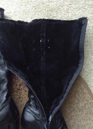 Чоботи basconi 2