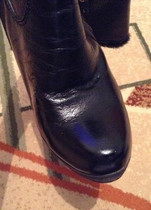 Чоботи basconi 4