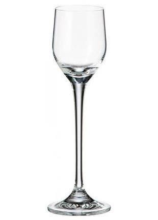 Набор рюмок 60 мл 6 шт stella sitta bohemia 1sf60/60