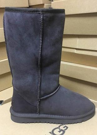 Женские сапоги ugg classic tall chocolate