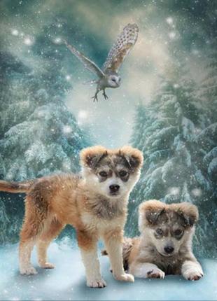 Алмазна вишивка 3д собаки