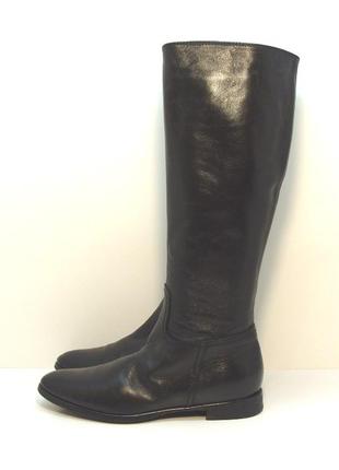 Жіночі шкіряні чоботи чобітки alfredo giantini р. 36