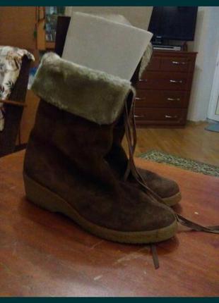 Сапоги женские замшевые на меху