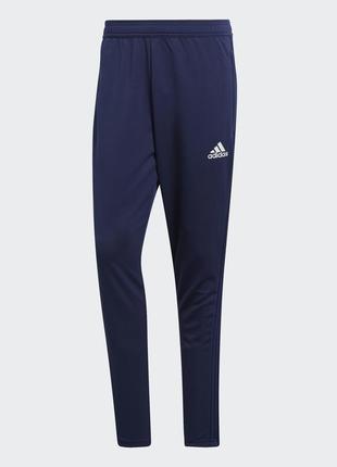 Нові спортивні штани для футболу
adidas condivo 187 фото