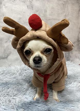 Худі для собак 2xl. кофта для собак. светр