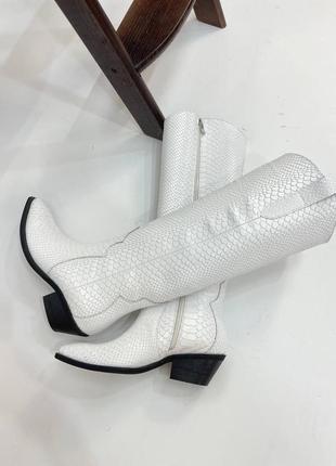 Жіночі чоботи козаки з натуральної шкіри ексклюзивної білого пітона3 фото