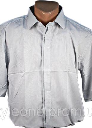 Рубашка мужская "enriko". короткий рукав. белая