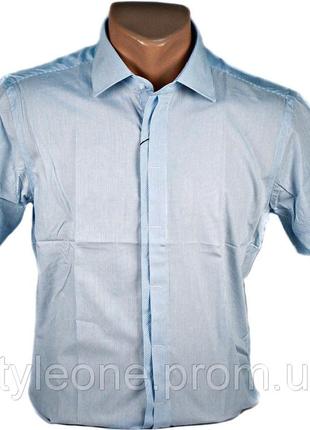 Рубашка мужская голубая. короткий рукав