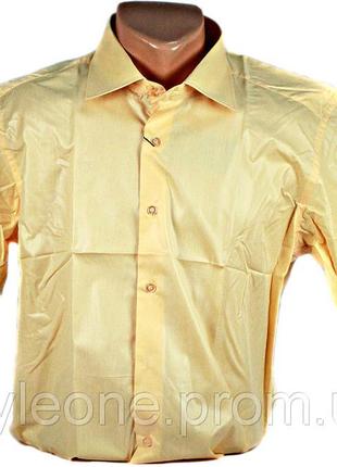 Рубашка мужская "emreko". желтая. короткий рукав