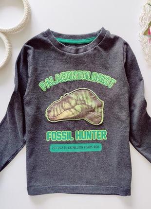 Реглан для хлопчика  артикул: 13342