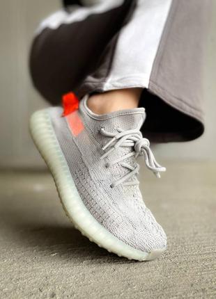 Кросівки adidas yeezy boost 350 v2 tail light4 фото