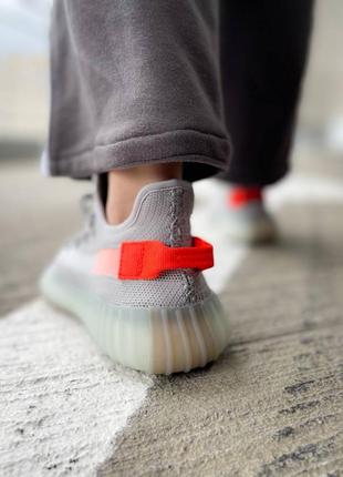 Кросівки adidas yeezy boost 350 v2 tail light9 фото