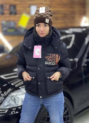 Зимняя куртка tnf the north face