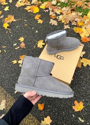 Жіночі ugg mini grey / smb