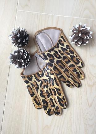 Рукавички автоледі