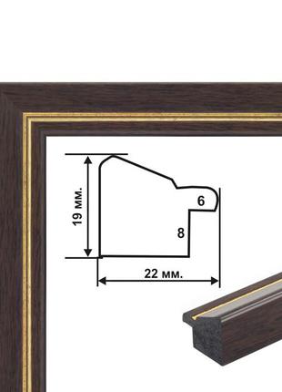 Багетная рамка (коричнево-золотая 2 см) 40х50 rn54