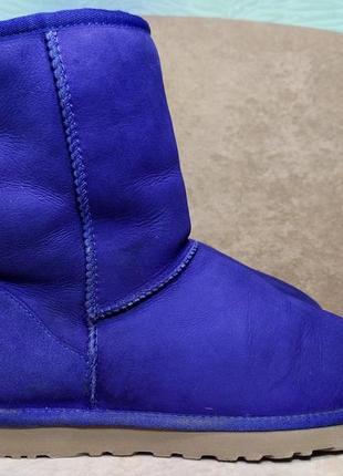 Уггі sneakers ugg australia 5825 classic short черевики чоботи зимові овчина. ориг. 39 р./25 див.