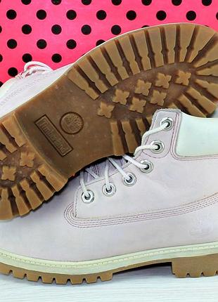 Черевики timberland 6