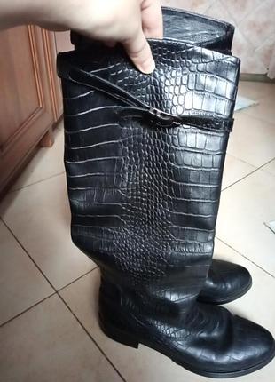 Чобітки зима