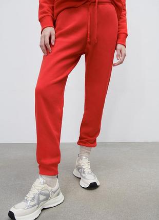 Джогери на флісі zara