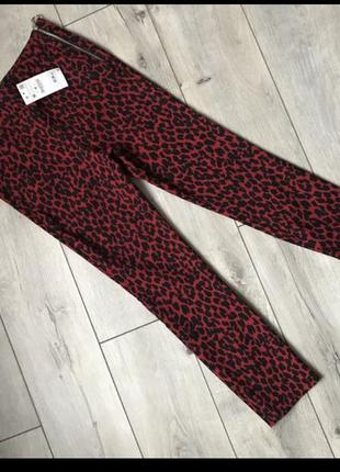 Zara  завужені брючки в леопардовий прінт, р. м4 фото