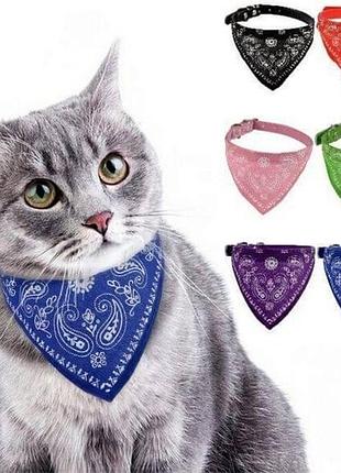 Нашийник для котів та собак «бандана», 1х31см