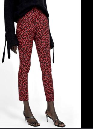 Zara  завужені брючки в леопардовий прінт, р. м8 фото