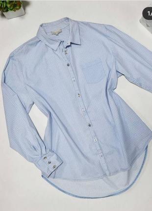 Класична ніжно-голуба сорочка з оригінальми ґудзиками