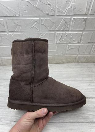 Сапоги ugg