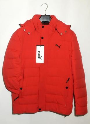 Красная мужская зимняя куртка2 фото